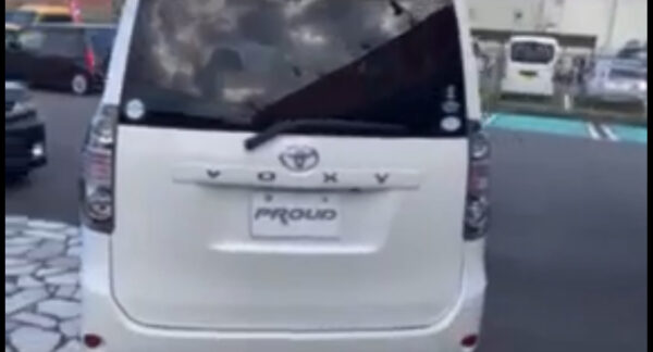 TOYOTA VOXY 2010 - Image 4